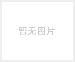 有机硅偶联剂Z-6173